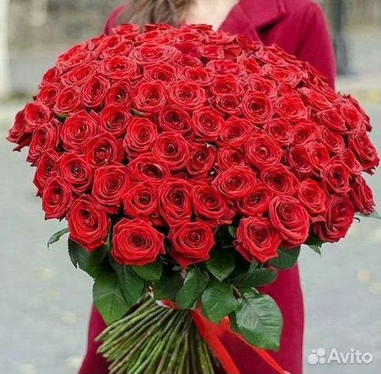 Розы гиганты 140 150 160 170 180 200