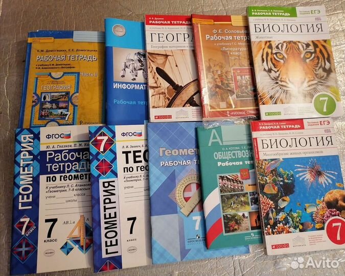 Рабочие тетради 5,6,7,8,9 класс по всем предметам