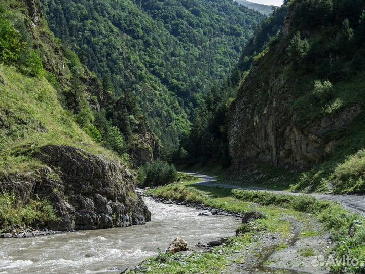 Грозный Топ-Экскурсия Аргунское ущелье, музей Пхак