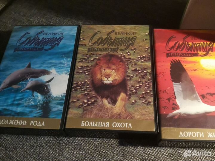 Видео кассета