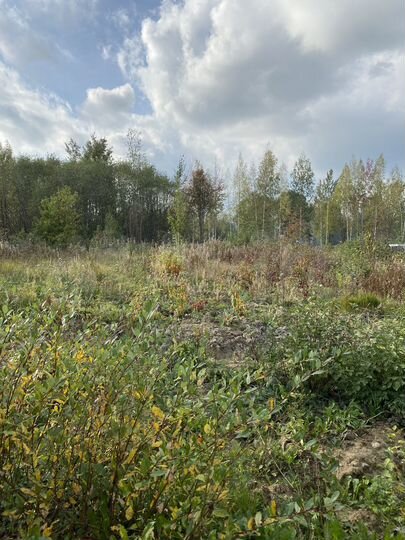 Участок 12 сот. (СНТ, ДНП)