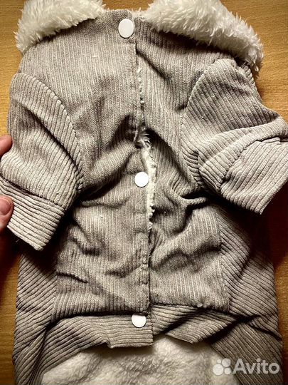 Зимний костюм для собак