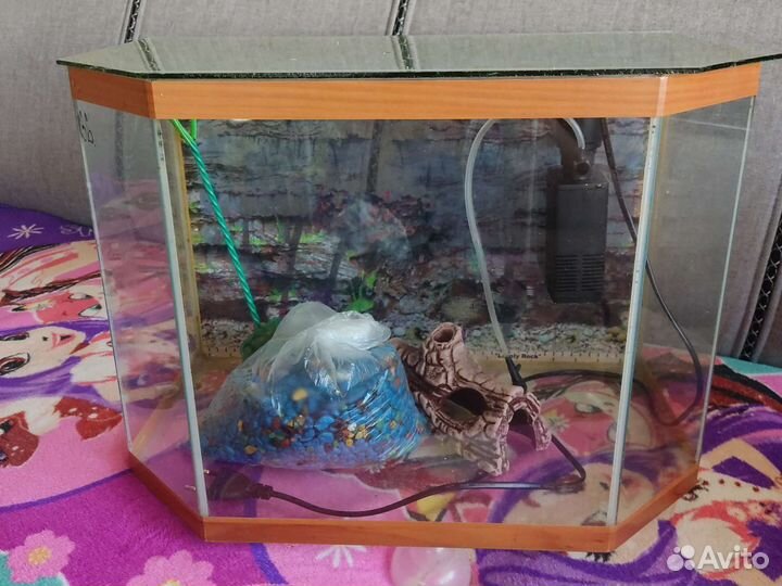 Аквариум