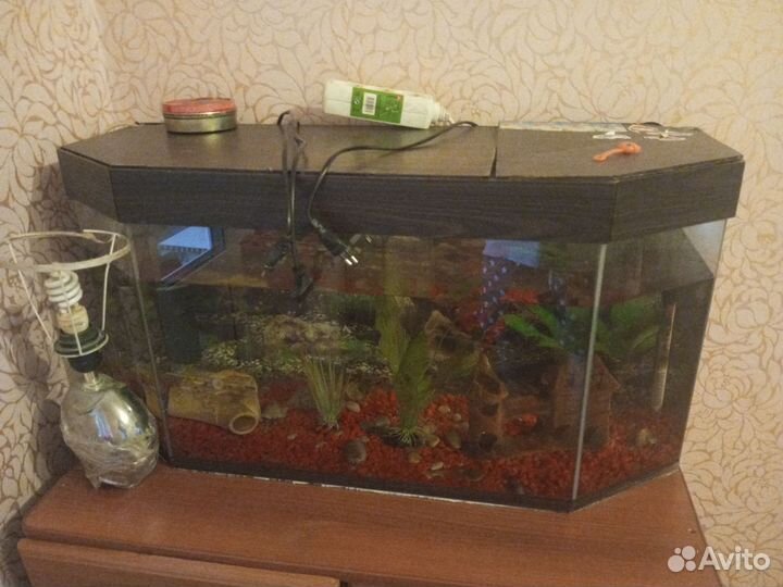 Аквариум