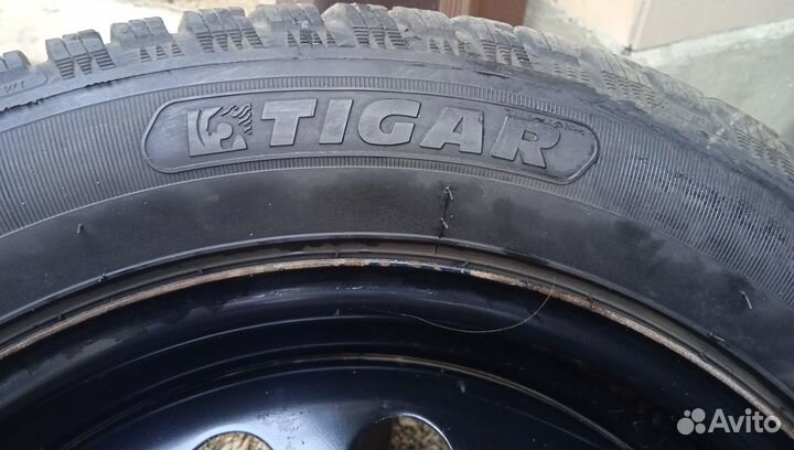 Зимняя резина r16 tigar