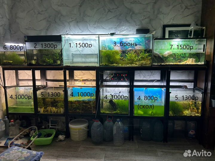 Стойка с аквариумами и оборудованием