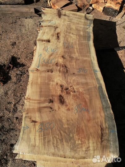 Слэбы из дерева любых размеров