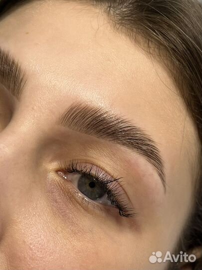 Брови: окрашивание, долговременная укладка