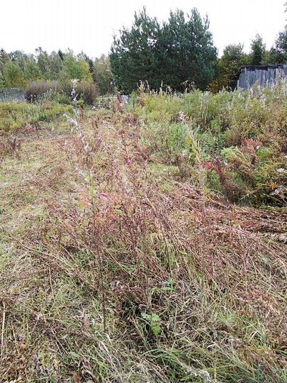 Участок 15 сот. (ИЖС)