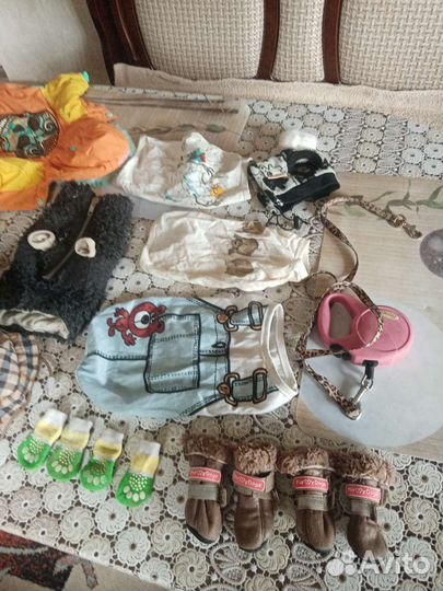 Одежда для маленьких собак