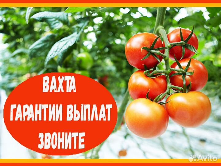Разнорабочий Вахта Аванс еженедельно Еда+Жилье