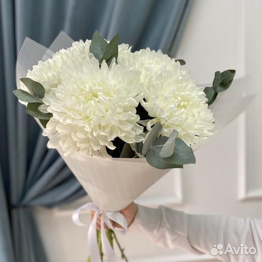 Цветы Хризантемы Пермь