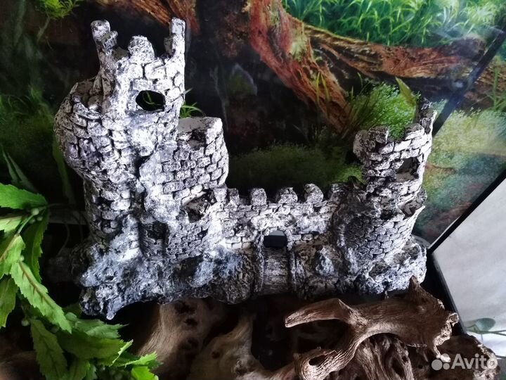 Коряги, мангровое дерево, зАмок, и многое другое