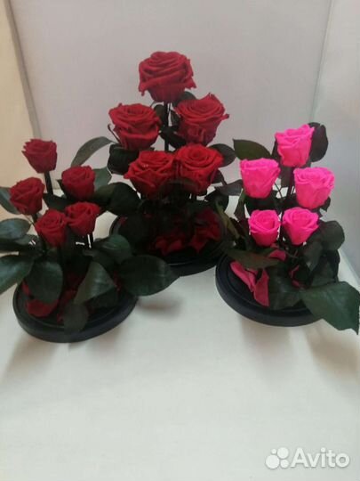 Подарок на новый год / Роза в колбе