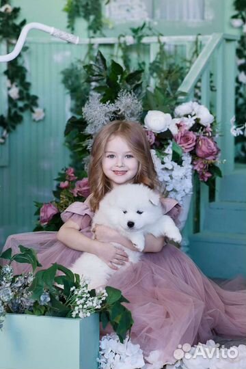 Семейный Фотограф Москва