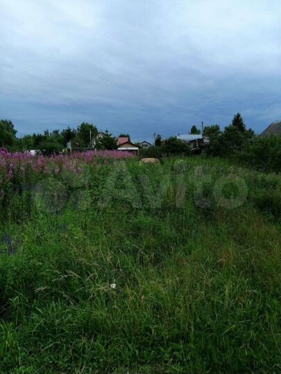 Участок 9,8 сот. (СНТ, ДНП)