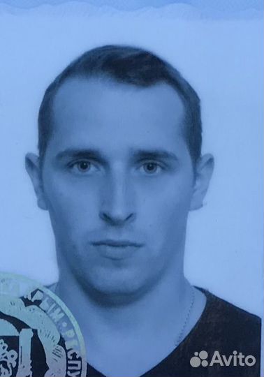 Руководитель проекта