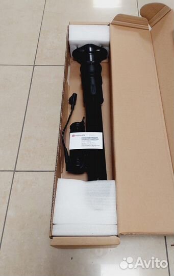 Амортизатор Mercedes R-class W251