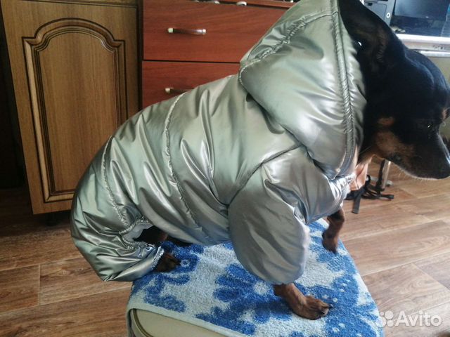 Зимний костюм для маленькой собаки