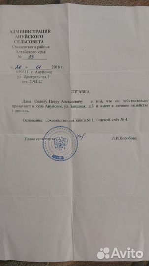 Лошади