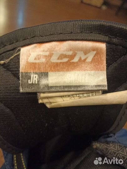 Хоккейные шорты ccm jr