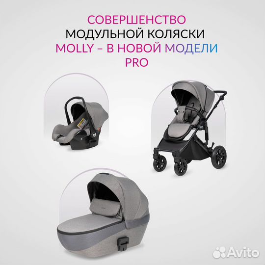 Коляска модульная 3в1 Molly Pro