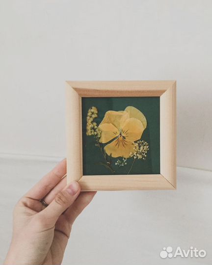 Гербарий с сухоцветами