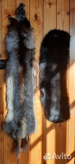 Песец и чернобурка