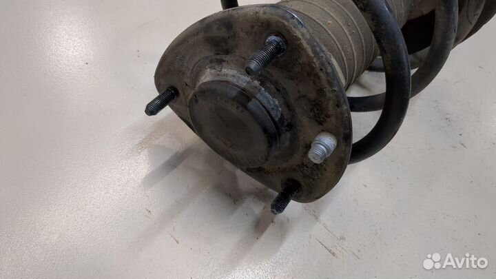 Амортизатор подвески Acura TLX, 2020