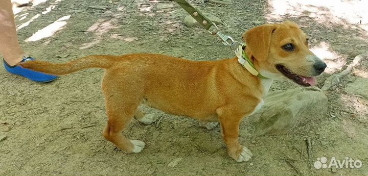 Жизнерадостная девочка