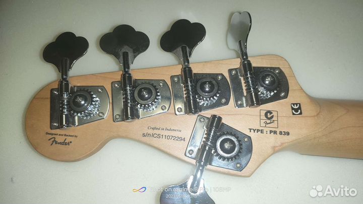 Squier by Fender Affinity Jazz Bass V