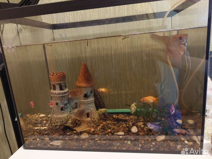 Украшение для аквариума