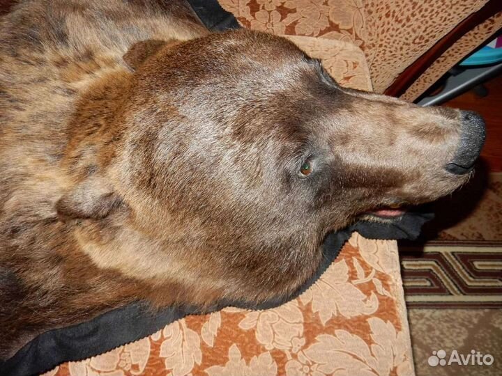 Шкура медведя имитация