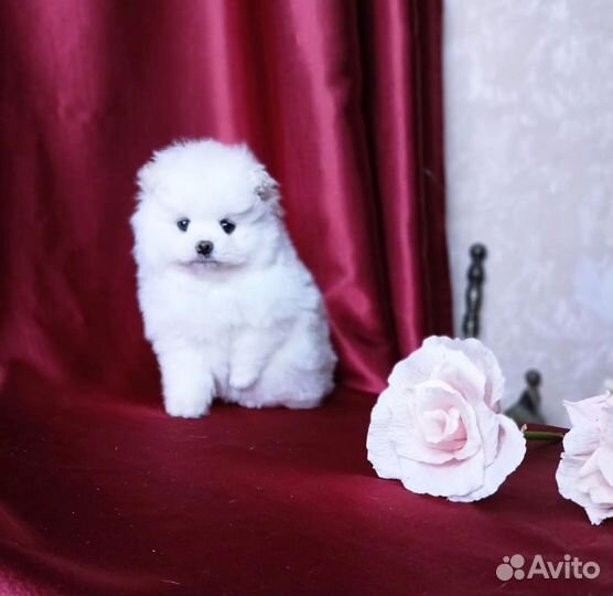 Супер девочка мини