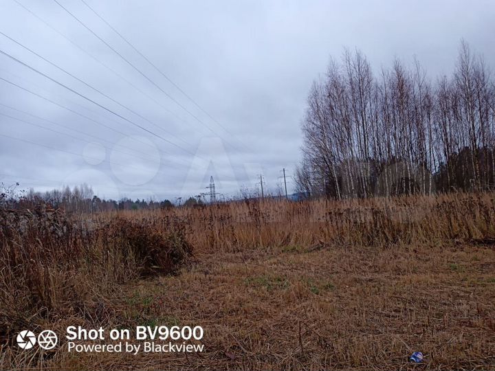 Участок 8 сот. (СНТ, ДНП)