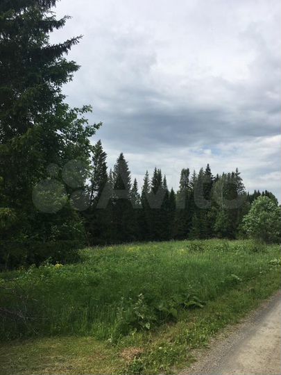 Участок 15,5 сот. (СНТ, ДНП)