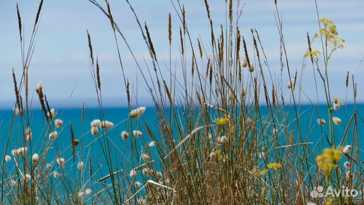 Трава горы дом море, укромное место