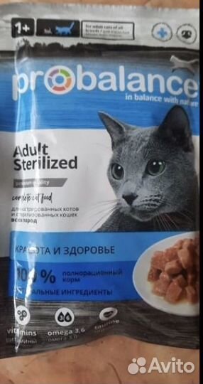 Влажный корм для кошек