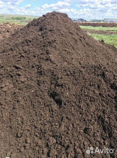 Приму грунт