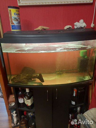 Аквариум с тумбой
