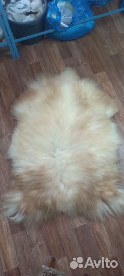 Шкуры овчины