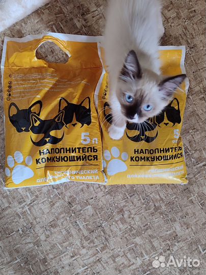 Наполнитель кошачий