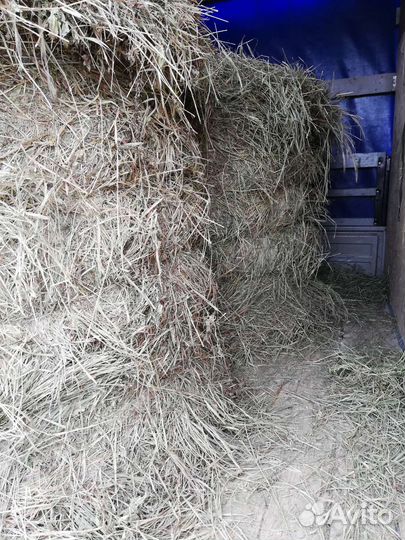 Сено в рулонах свежее. Доставка
