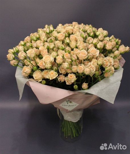 Кустовые розы