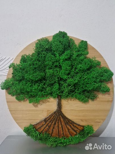 Картина из стабилизированного мха