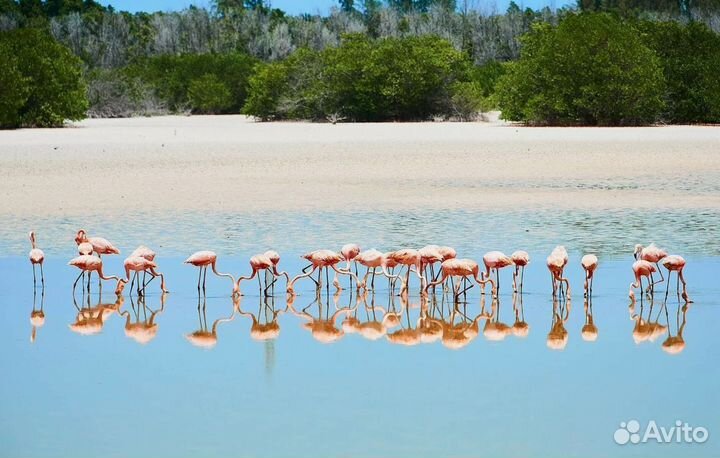 Поездка Кайо-Коко 12 нч