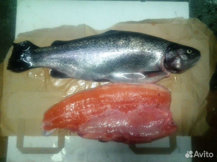 Форель Оптом
