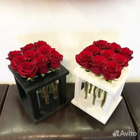 Бокс с пробирками