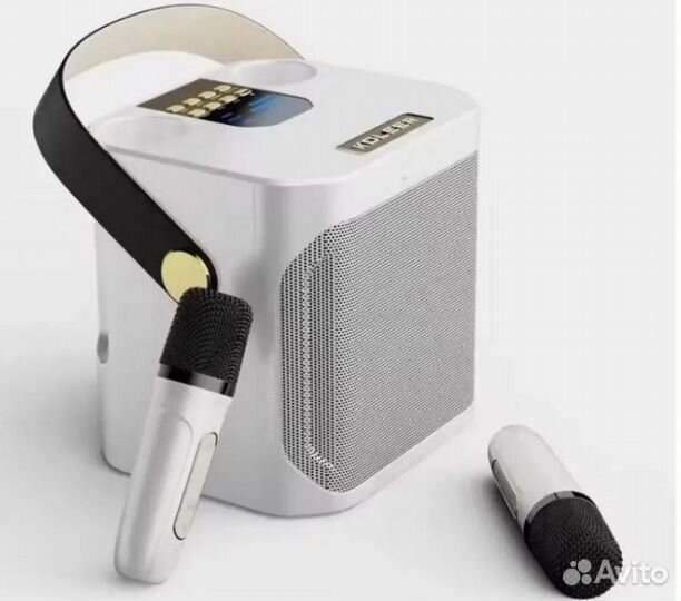 Колонка караоке koleer S882 с двумя микрофонами