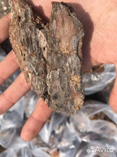 Сосновая кора/мульча для цветов/чернозем в мешках